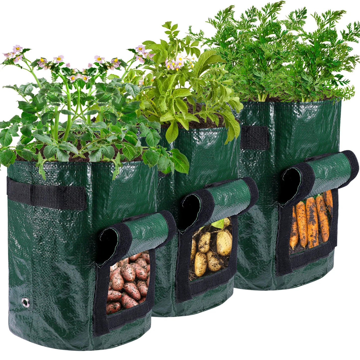 EZ GRO POTATO Vegetable Grow Container